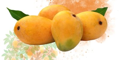 Mango